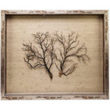 Sealife Print