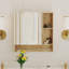 Armoire de salle de bain murale à miroir, armoire à pharmacie, armoire de rangement au-dessus de la toilette avec tablettes et porte-serviettes-371338059
