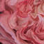 «Ruched Silk», reproduction sur toile-21485489-72065696-72065697