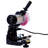Chainsaw Sharpener Professional Multi-Angle Adjustable Chain Grinder 120-Volt Bench Grinder Universal Saw Chain Sharpener, For All Chainsaw Chains-126692700