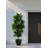72" Artificial Fiddle Leaf Fig Tree-1537520936