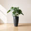 Pot à fleurs rond écologique ECOBO, utilisation intérieure / extérieure Vicenza, utilisation quatre saisons-38361596-21502575