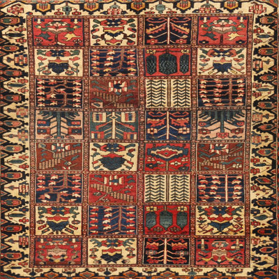 Indoor Rug
