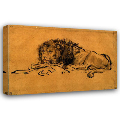 A Lion Lying Down