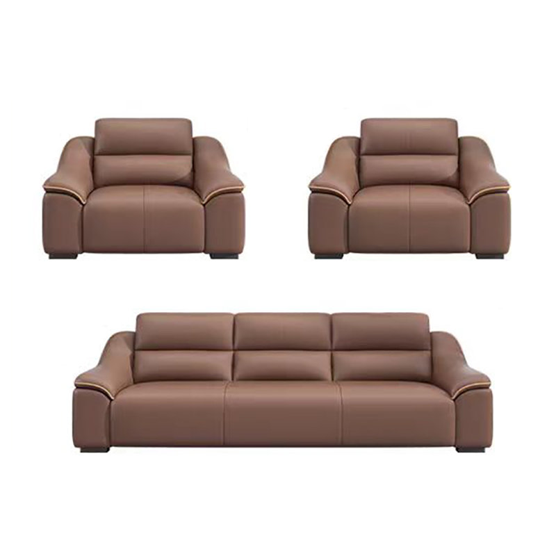 Simple elegant comfortable sofa set