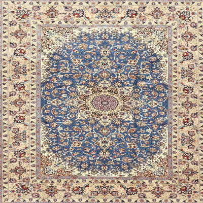 Daelen Oriental Indoor Rug