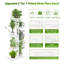 Plant Stand-895533886
