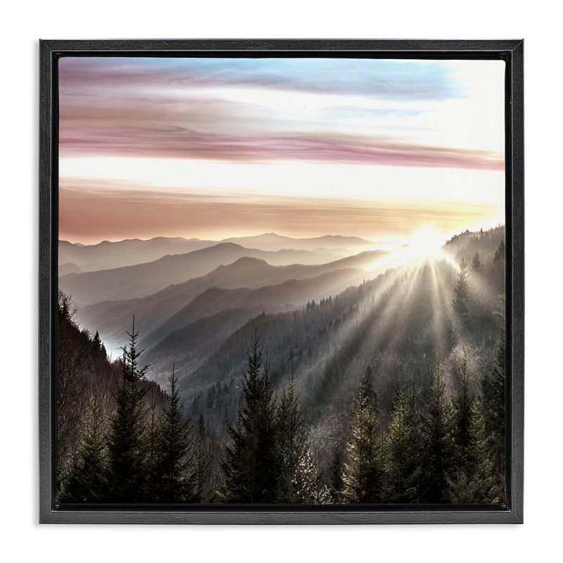 "Sun Rays Through Peaks", art mural encadré par Danita Delimont, H 25 po x l 25 po, Cadre flottant noir de jais