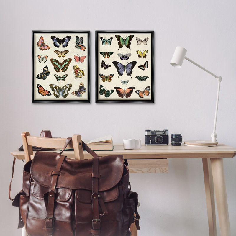  Ensemble de 2 flotteurs encadrés Antique Butterfly par Susan Arnot, H 21 po x l 17 po, Cadre flottant noir de jais