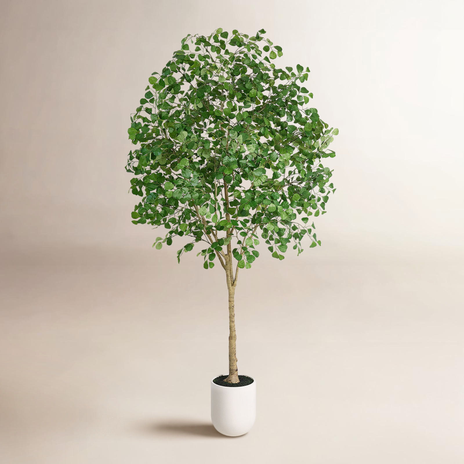 Adcock Plant, 120" H x 64" W x 60" D