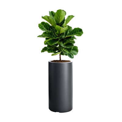 Dorcaster Pot Planter
