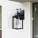 Mozingo 1 - Light Clear Glass Outdoor Wall Lantern with Dusk to Dawn