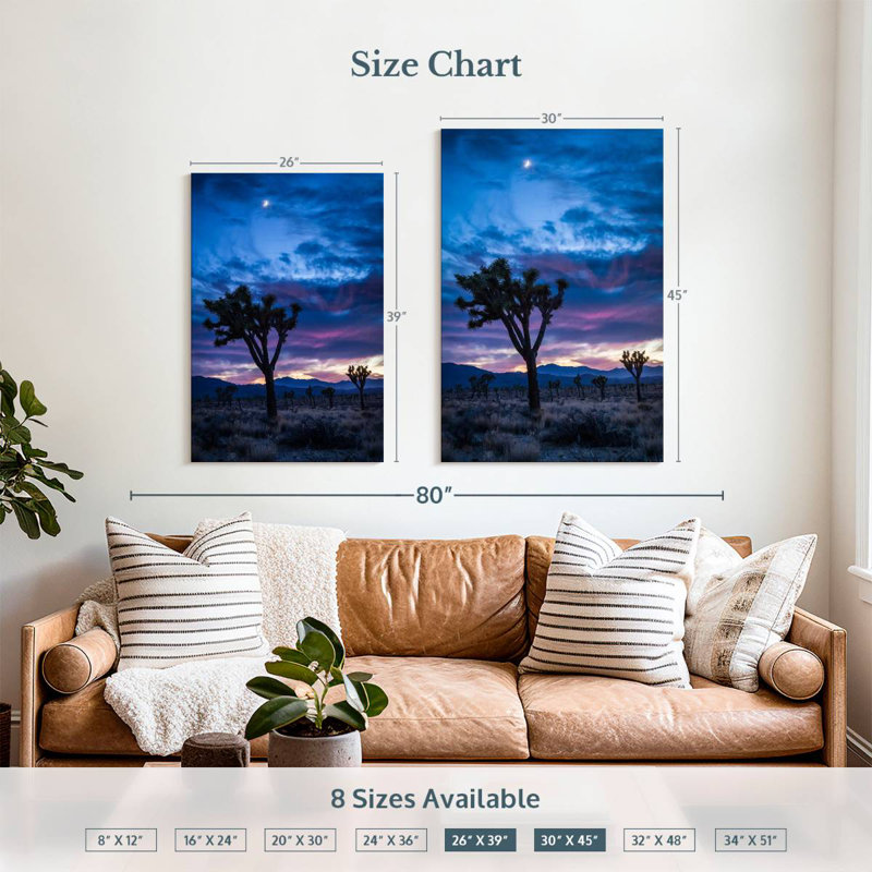 Aime Joshua Tree Park la nuit, H 39 po x l 26 po