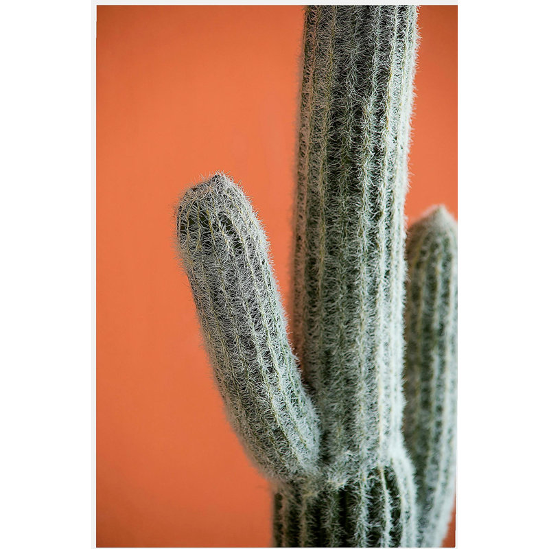 8x5x24.5"H Artificial Saguaro Cactus in Black Pot