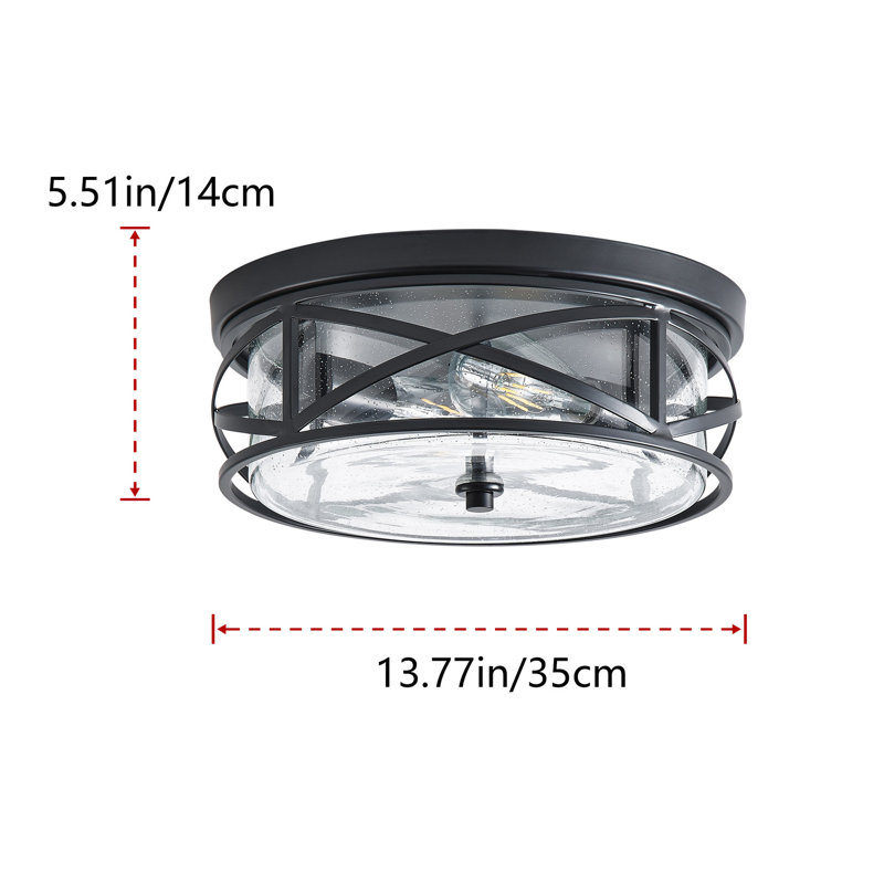 2-Lamp Circular Clear Glass Adjustable Iron Ceiling Light