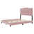 Rose est en rupture de stock