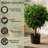 24'' Faux Topiary in Planter