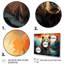 Ensemble d'illustrations murales sur toile Animal Bear-93048654