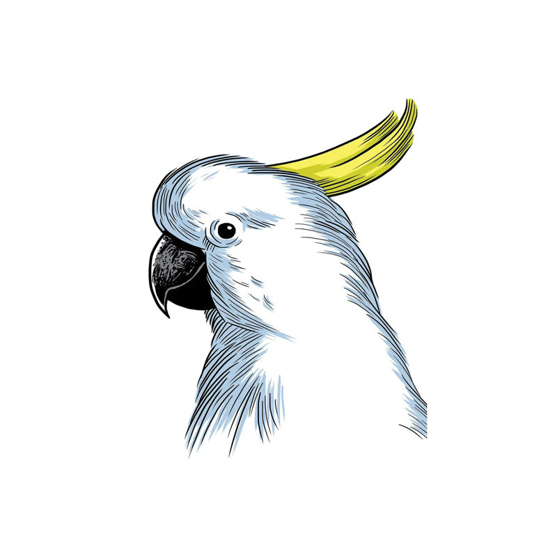 Sketch Parrot by Alberto Perez - Wrapped Canvas Gallery-Wrapped Canvas Giclée, 101.60cm H x 66.04cm W