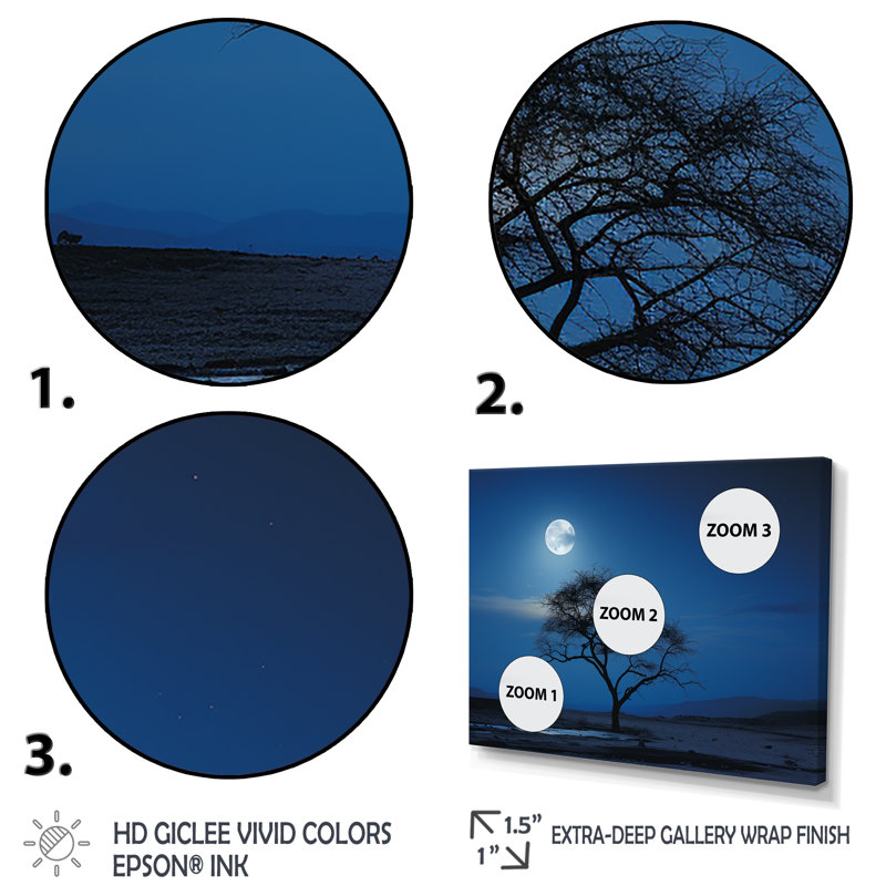 Bleu au clair de lune, arbre, désert - art mural arbre, H 16 po x l 32 po x P 1 po, Cadre flottant noir