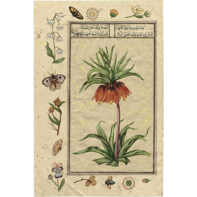 India Nature Study I, H 30 po x l 20 po