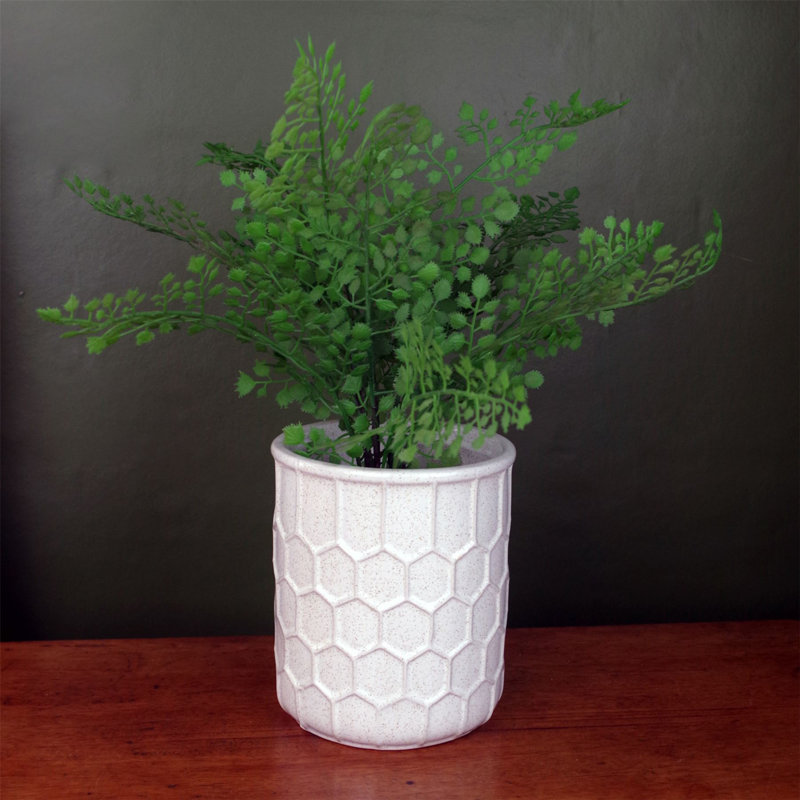 Ceramic Cachepot