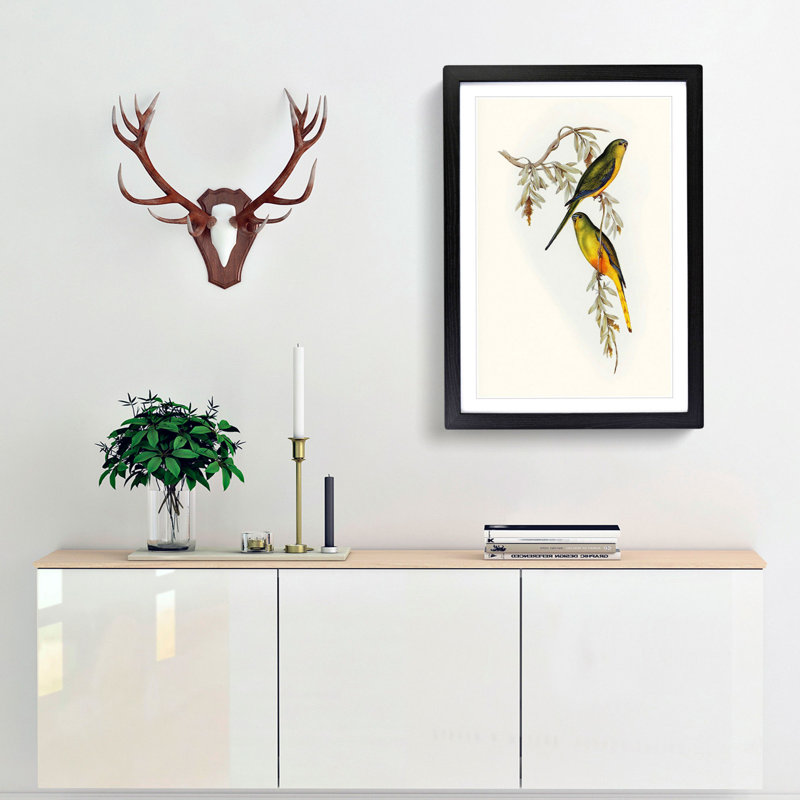 Orange-Bellied Grass-Parakeets by Elizabeth Gould - Picture Frame Painting Print, 65cm H x 48cm W x 2cm D, Black Framed
