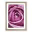 The Heart of a Pink Rose - Picture Frame Painting Print-56855697-56855698