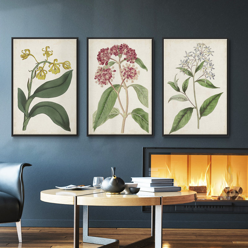 Ensemble de 3 pièces encadrées sur toile Antique Botanical Collection VI, H 40 po x l 78 po, Noir