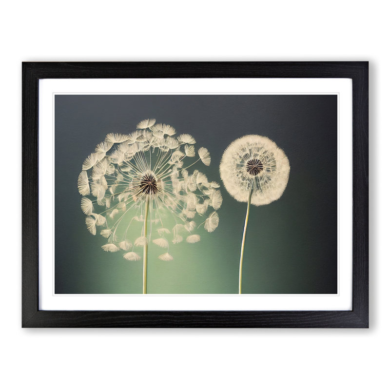 XH1022-10136X Wholesome Dandelion Flowers - Single Picture Frame Print, Black Framed, 46cm H x 64cm W x 2cm D