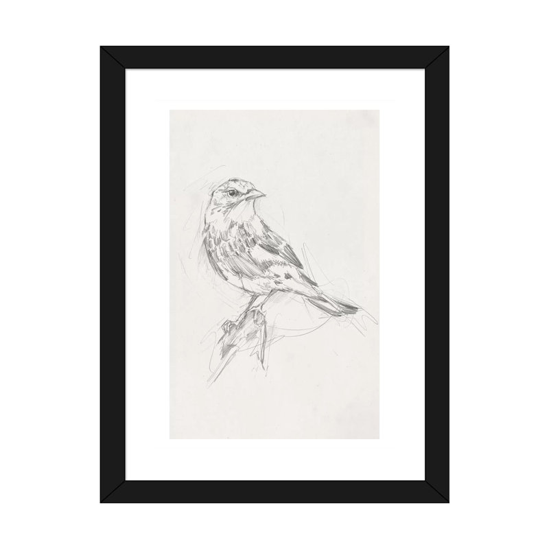 «Avian Study I» par Ethan Harper - reproduction d'art, H 24 po x l 16 po x P 1 po, Papier encadré noir, Blanc