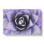 Lilac Succulent Plant - Wrapped Canvas-56629045