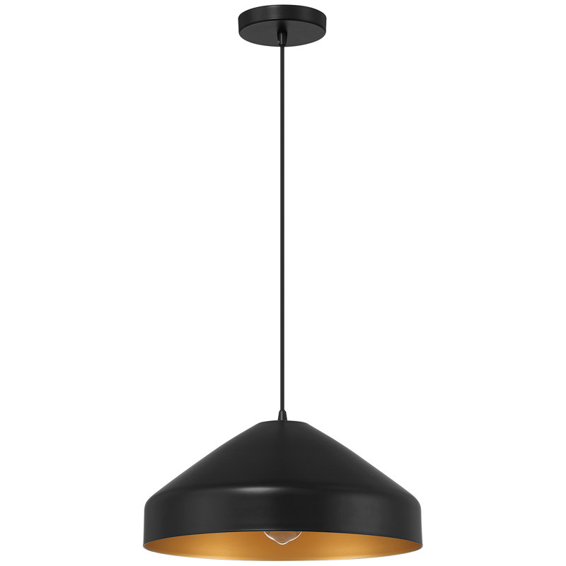 Luminaire suspendu 1 lumière Rowenna