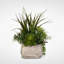 Faux Succulent Plant in Cement Planter