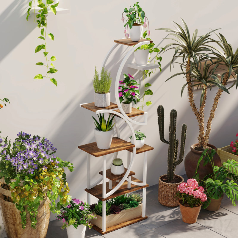 Support à plantes à 8 niveaux pour l'intérieur, tablette de 62 po de hauteur, support en forme de S, finition carbonisée