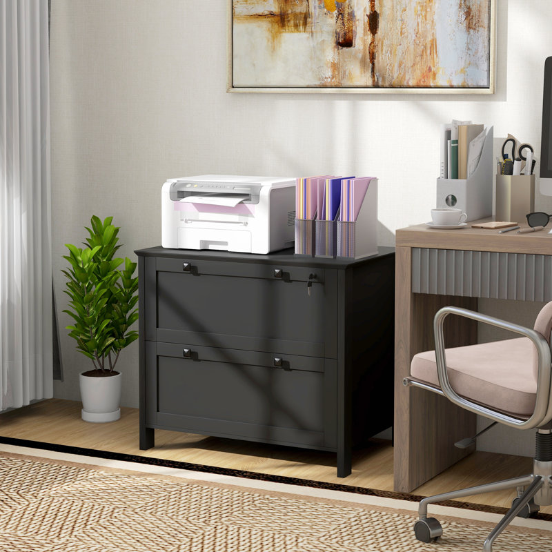 Sohani 31.1'' Wide 2 -Drawer File Cabinet,wood, Black