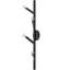 Oaks 4 - Light Wallchiere-70118454