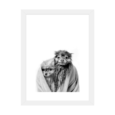 «Wet Dogs, Chelsea and Pancake, Black and White» par Sophie Gamand - reproduction de photo