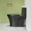 Toilette allongée une pièce à double chasse 1,1 / 1,6 GPF ADA avec siège à fermeture douce, chasse 1000G-121551716