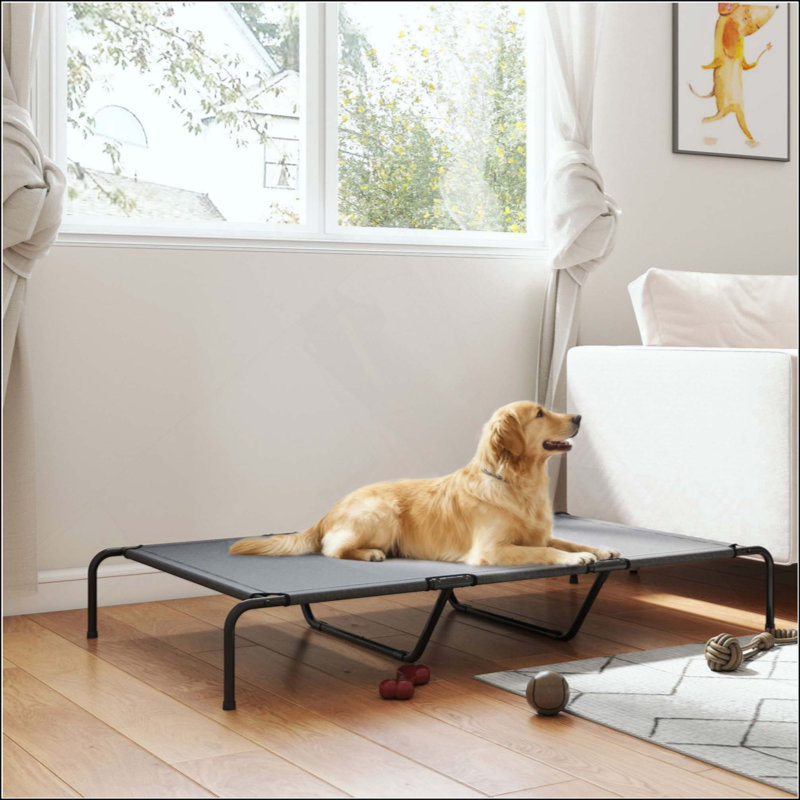 Lit de chien surélevé pour chien, Gris