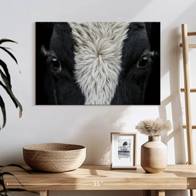 Yeux de vache Brampt