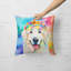 Other/No Pattern Outdoor Throw Pillow