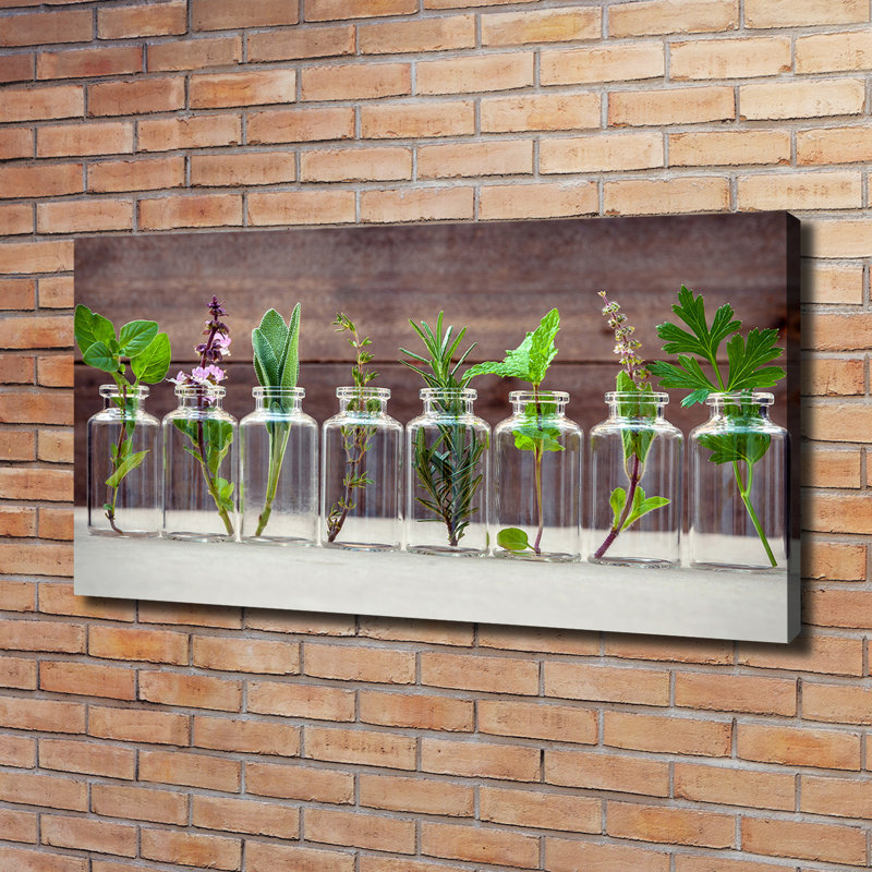 Plants In Jars - Wrapped Canvas Print