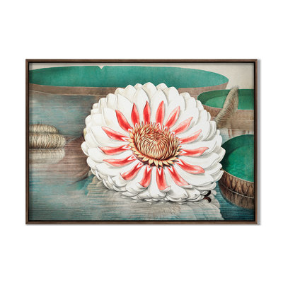 Lilies 3 Print by Grand Archives
