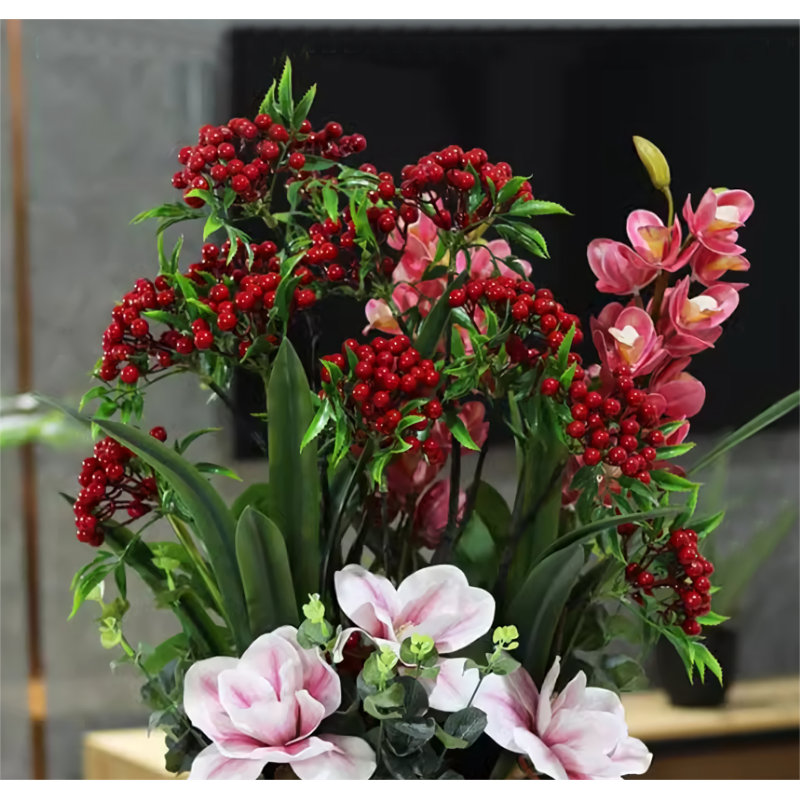 23,62 Plante