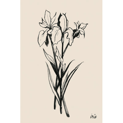 Iris II by Grace Popp - Painting