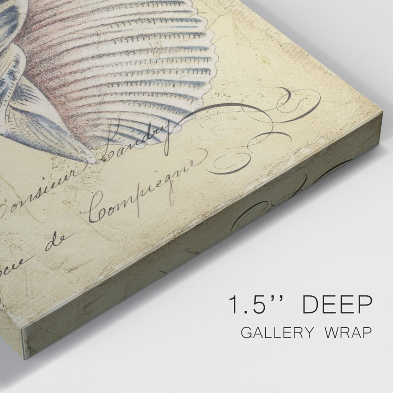Seashell Ephemera V - impression sur toile tendue, H 18 po x l 12 po x P 1 po