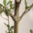 Chatwin 7FT Artificial Black Olive Tree for Home & Office Decor