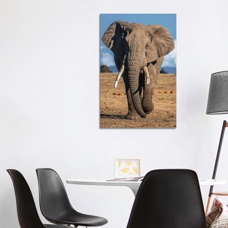 Elephant 1 Piece Wrapped Canvas Wall Art