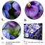«Purple Pansies Field Vibrant» sur toile-1823352485-1823352486